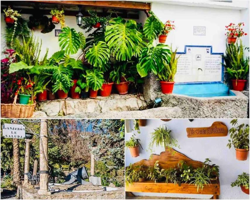 הוילה Lanjarón El Aguacate מראה חיצוני תמונה